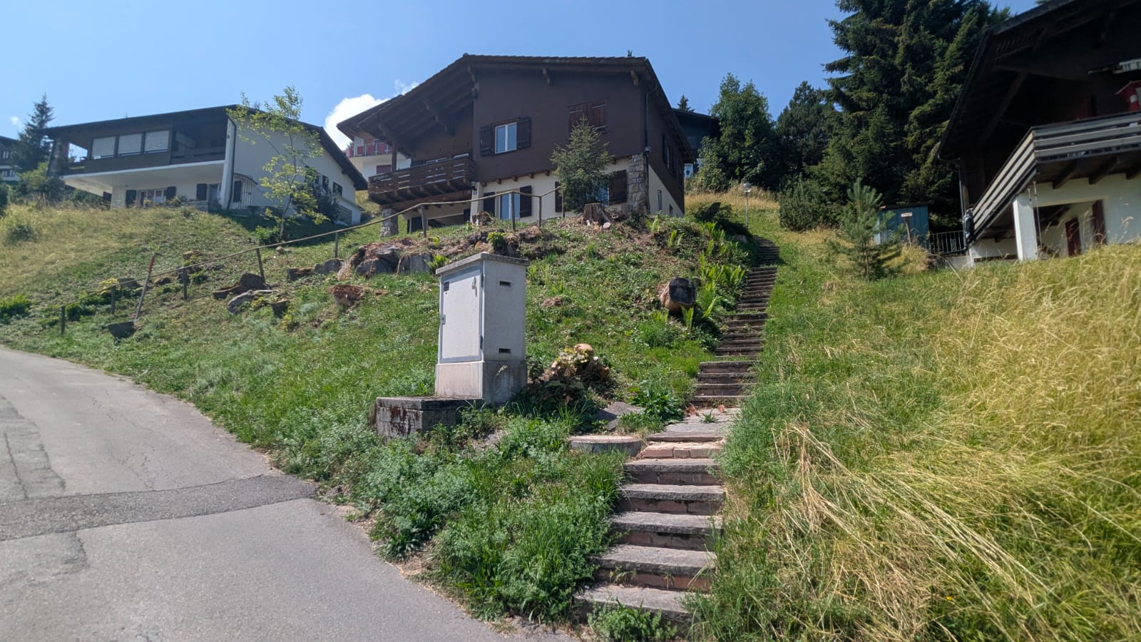 De trap en het pad omhoog naar de ingang van Chalet Argovia in de zomer