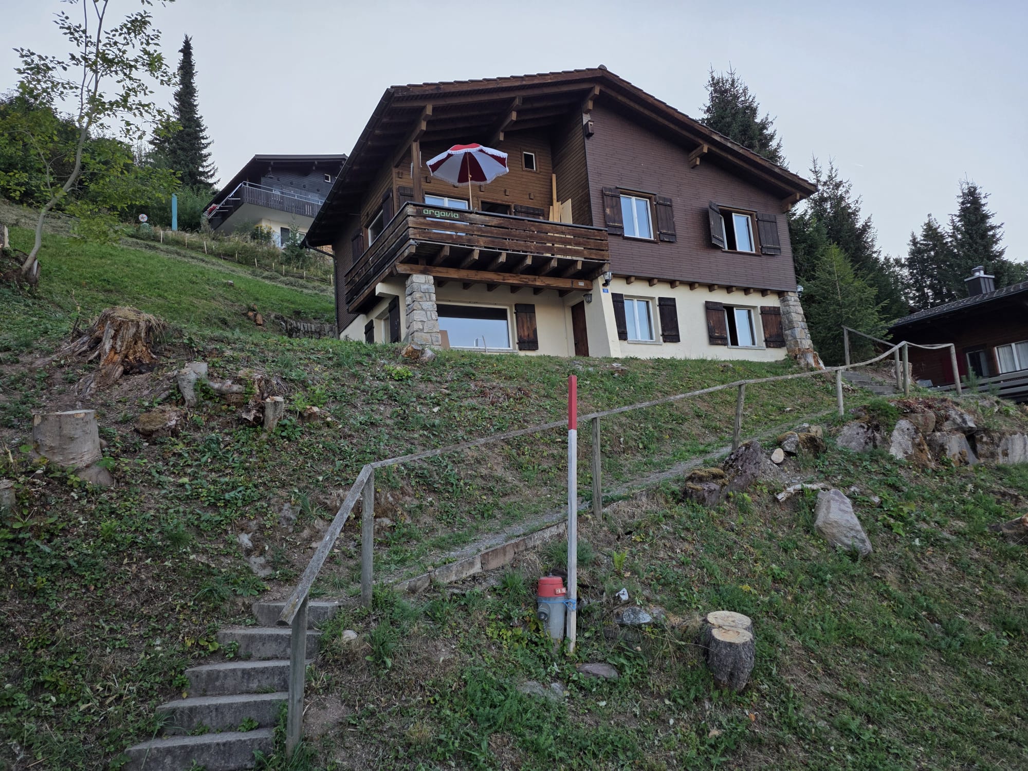 Chalet Argovia in de zomer met opgeruimde helling en boomstronken