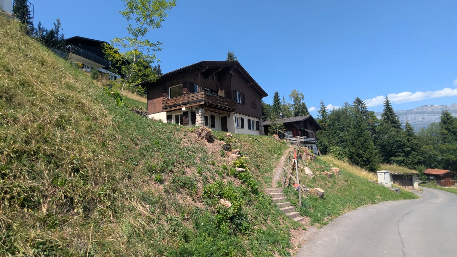 Chalet Argovia van opzij gezien vanaf de weg in de zomer
