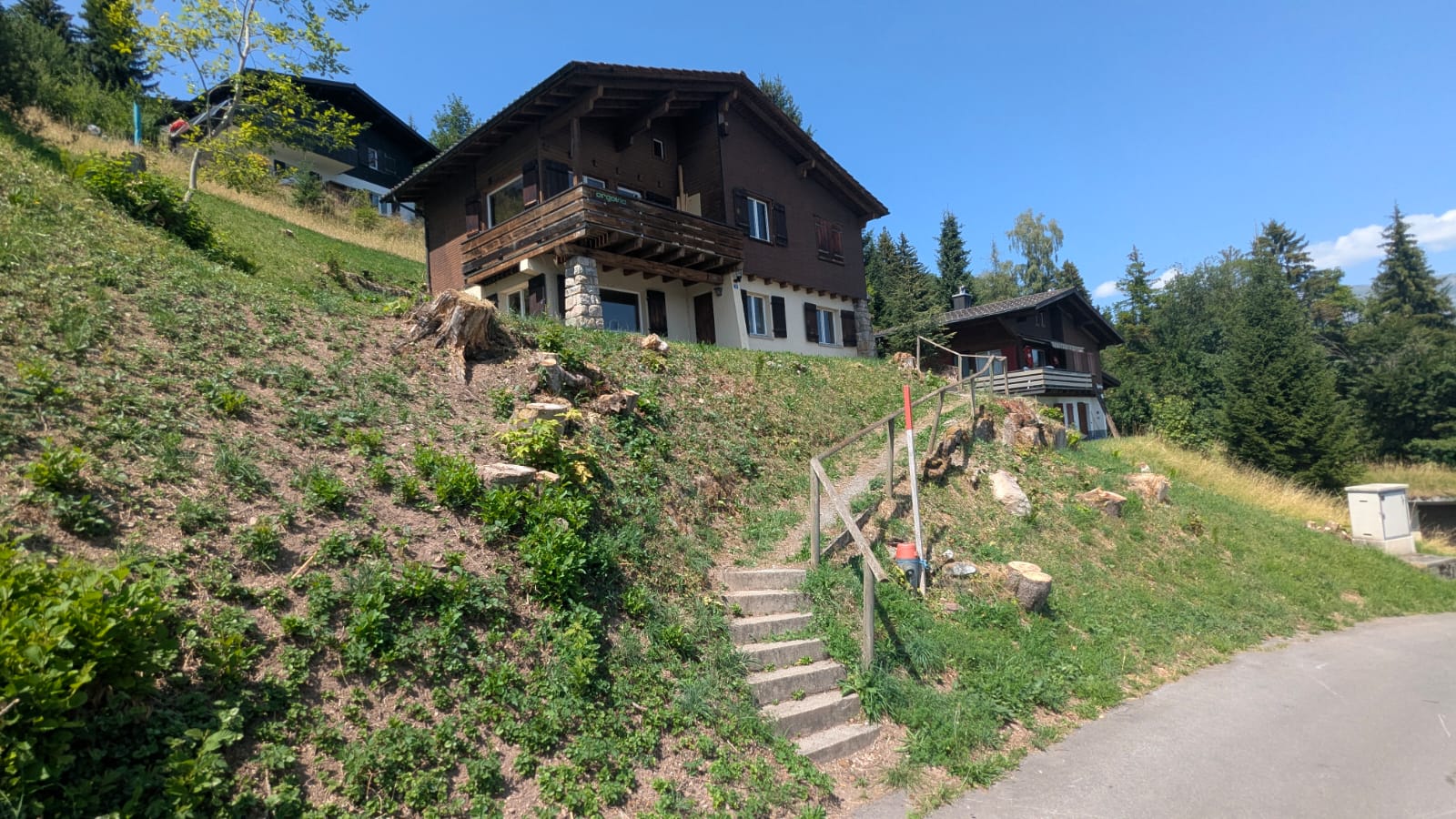 Het pad en de trap naar Chalet Argovia langs de groene helling